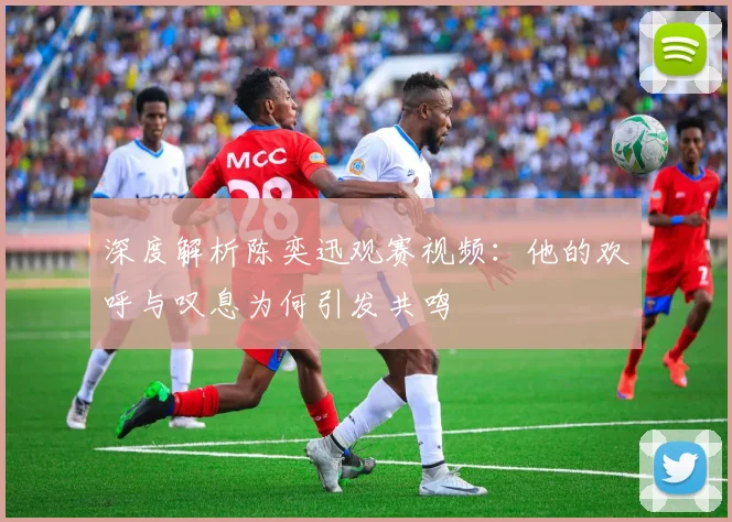 深度解析陈奕迅观赛视频:他的欢呼与叹息为何引发共鸣