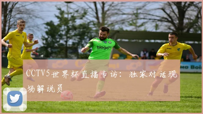 CCTV5世界杯直播专访：独家对话现场解说员